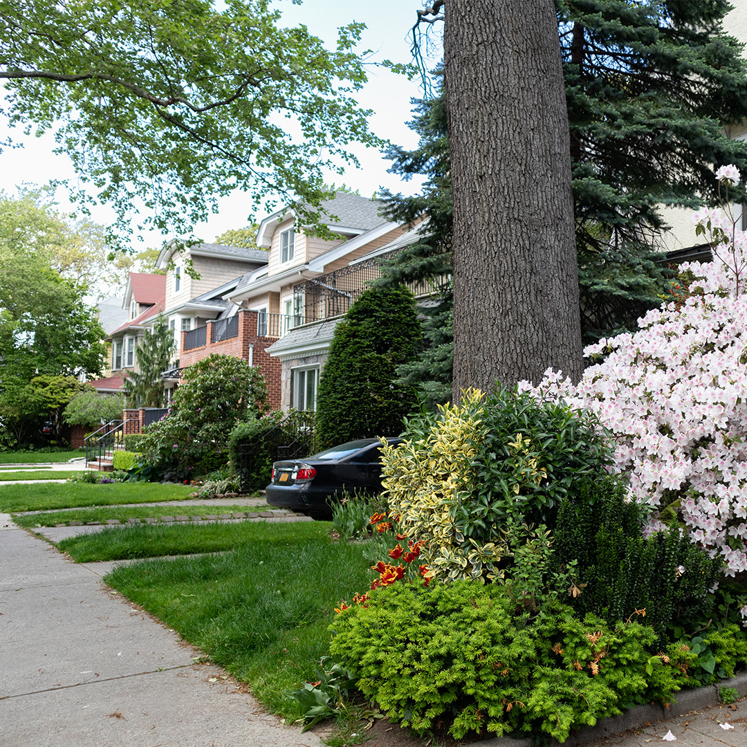 The image shows a well-maintained residential street scene with a variety of plants and shrubs in front of a house, featuring a white fence and a neatly trimmed lawn.