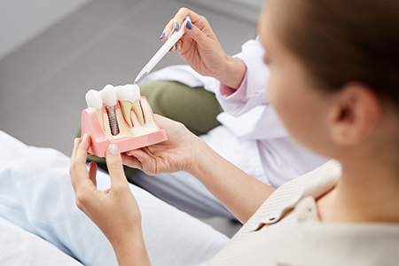A dental professional holds a model mouth with teeth, likely during a presentation or demonstration.